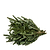 Holiday Bough Bundles