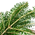 Holiday Bough Bundles