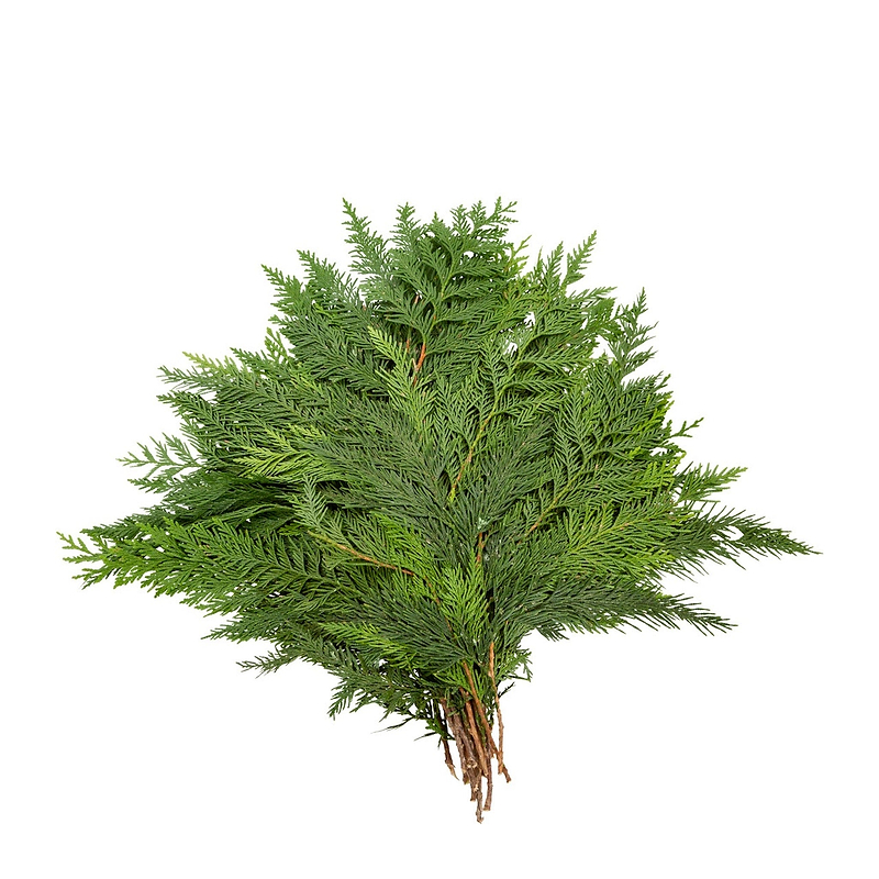 Holiday Bough Bundles