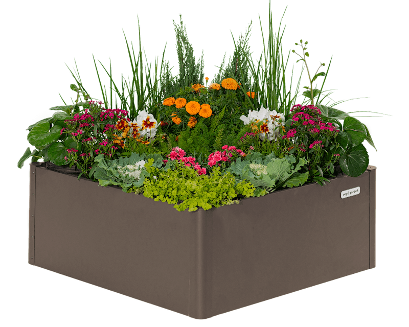 Sleek, Modern Gardening