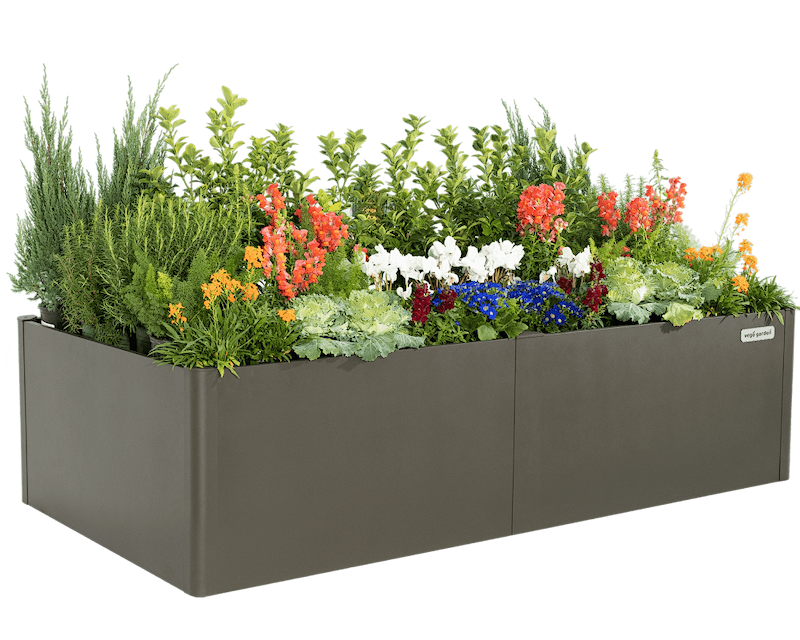 Sleek, Modern Gardening