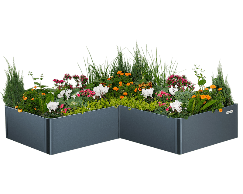 Sleek, Modern Gardening