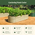 vego-garden-17-tall-6-in-1-medium-modular-raised-garden-bed-kit | Vego Garden