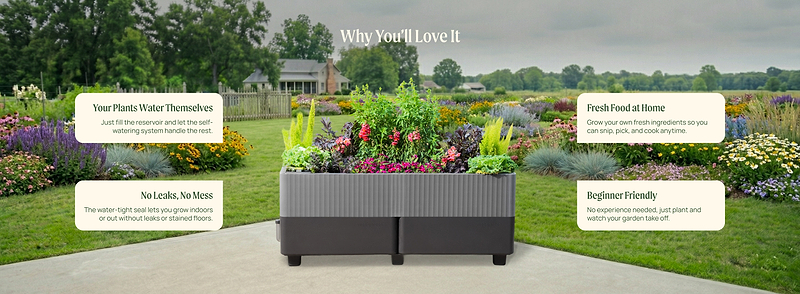 Vego garden beds