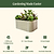 Vegogarden Classic Metal Raised Garden Bed Kit | Vego Garden
