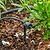 Drip Nozzle & Stake for Irrigation Kit