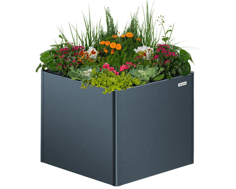 Sleek, Modern Gardening