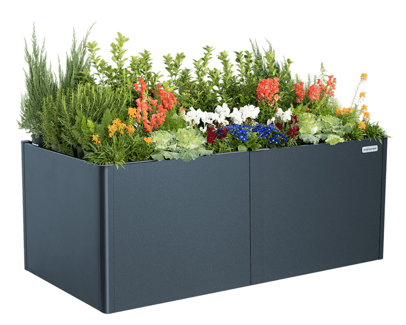 Sleek, Modern Gardening