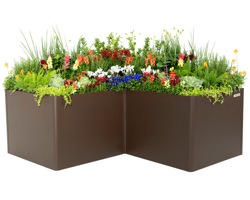 Sleek, Modern Gardening