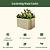 Vego Garden | 32" Extra Tall 6 In 1 Modular Metal Raised Garden Bed Kit | Olive Green