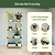 4-Tier Shelf Plant Stand | Vego Garden