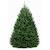 6 ft. Fraser Fir Tree (live cut)