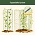 FlexGrow A-Frame Trellis Classic | Vego Garden