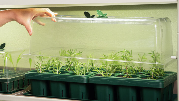 Giga 1020 Seedling Trays | Extra-Large Cells for Tomatoes & Peppers