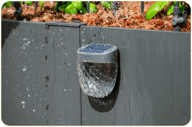 Vego garden beds