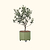 Arbequina Olive Tree with Rolling Citrus Tree Planter - Green