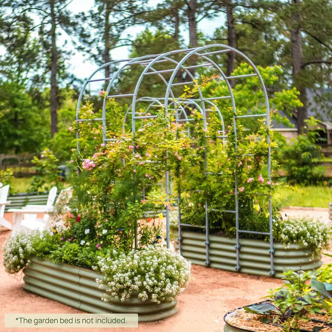 arched plant trellis Garden Arch Trellis: Elegant Garden Enhancement–Vego Garden