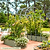 Vego Garden | Modular | Arched Trellis