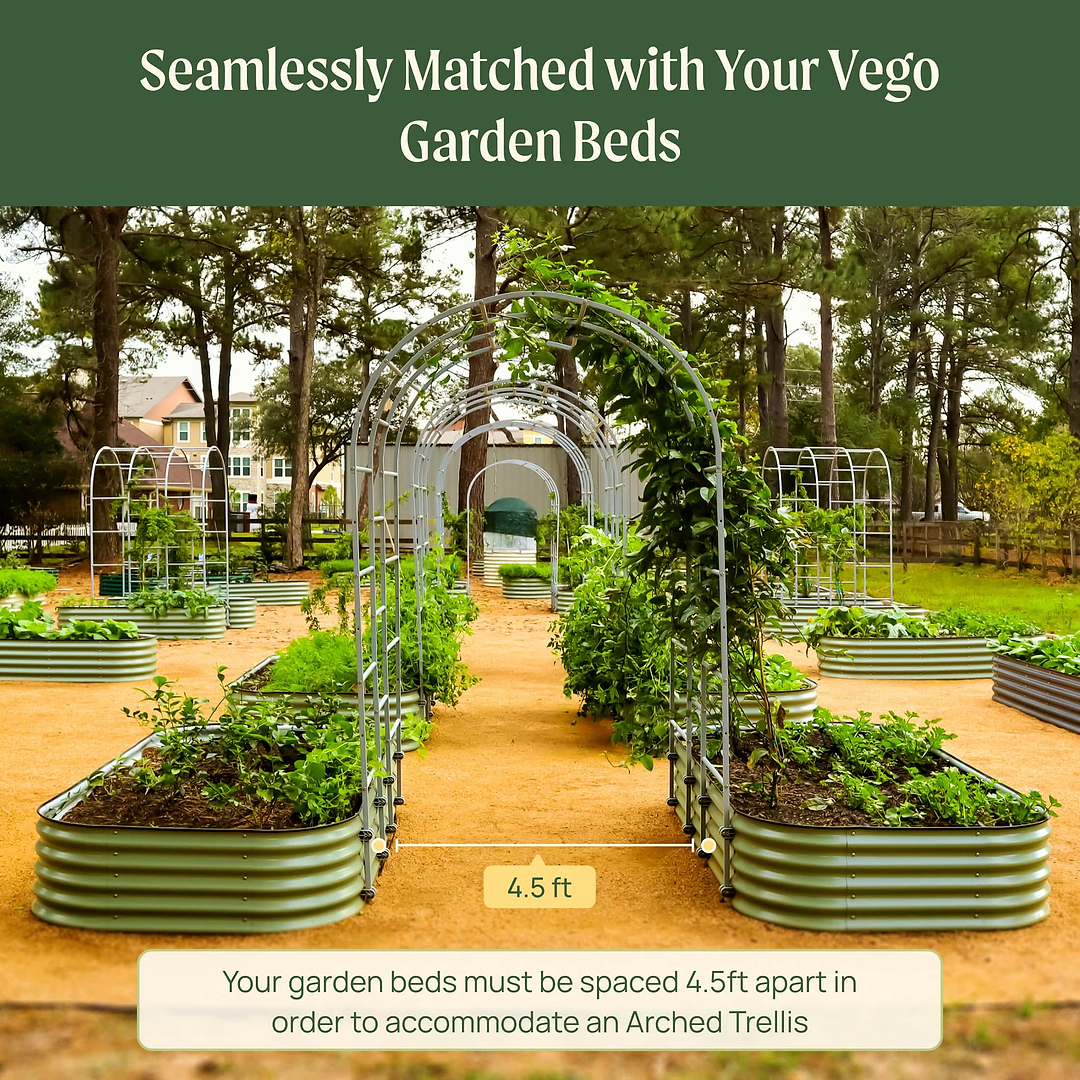 Garden Arch Trellis: Elegant Garden Enhancement–Vego Garden