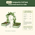 Vego Garden | Modular | Arched Trellis