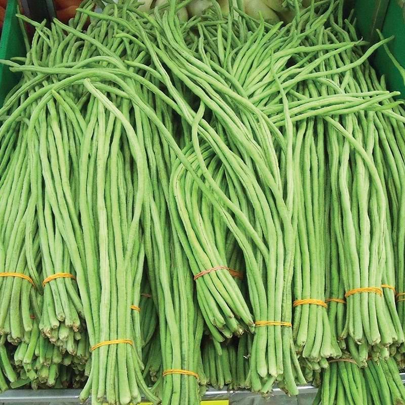Oriental Yard Long Bean (Pole) Seeds