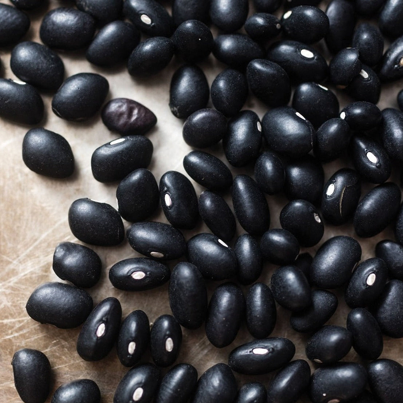 Midnight Black Turtle Bean (Bush) Seeds