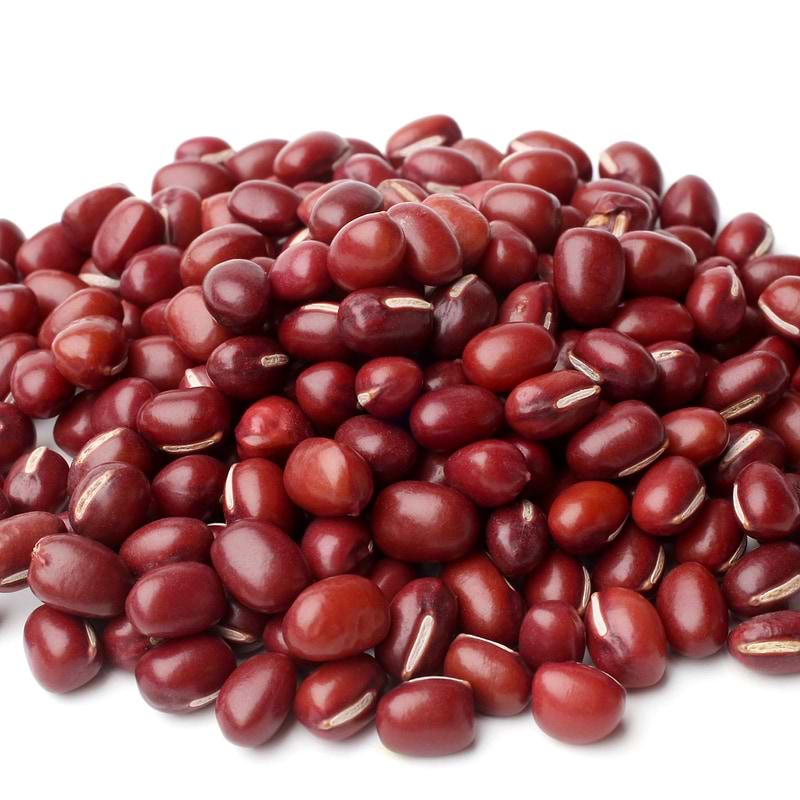 Adzuki Bean (bush) Seeds