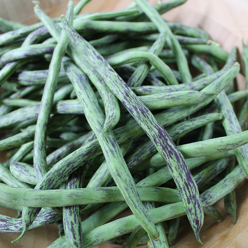 Rattlesnake Bean (Pole) Seeds