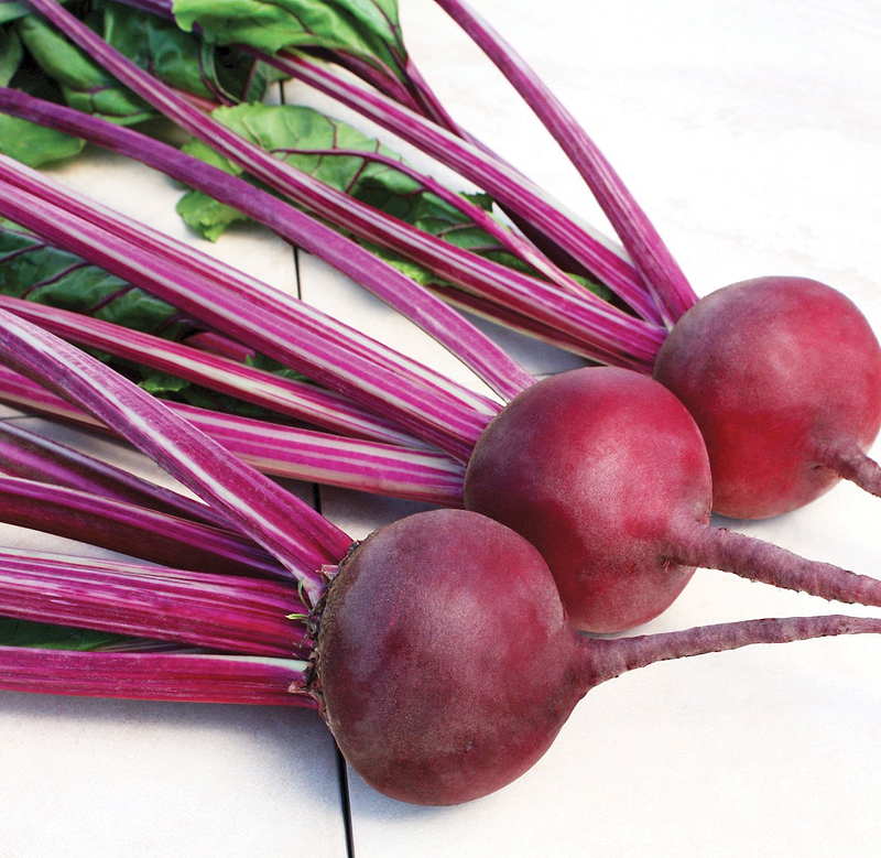 Early Wonder Tall Top Beet Seeds
