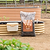 Vego Base Soil Success | Vego Graden