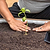 Vego Base Soil Success | Vego Graden