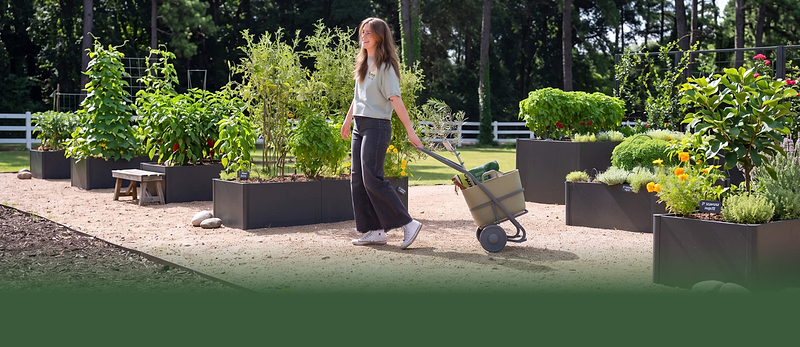 Vego garden beds