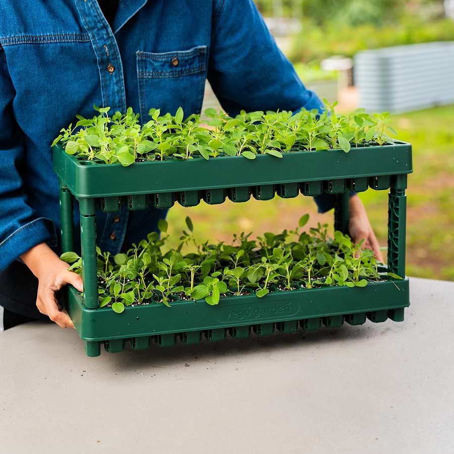 Stackable Seedling Trays – Compact Garden Solution