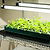 Stackable Seedling Tray 10" x 20"