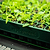 Stackable Seedling Tray 10" x 20"