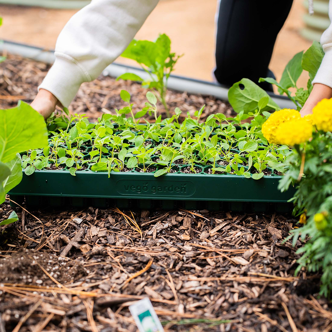 vego garden seed trays Stackable Seedling Trays – Compact Garden Solution