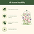 Vego Garden Plant Supports