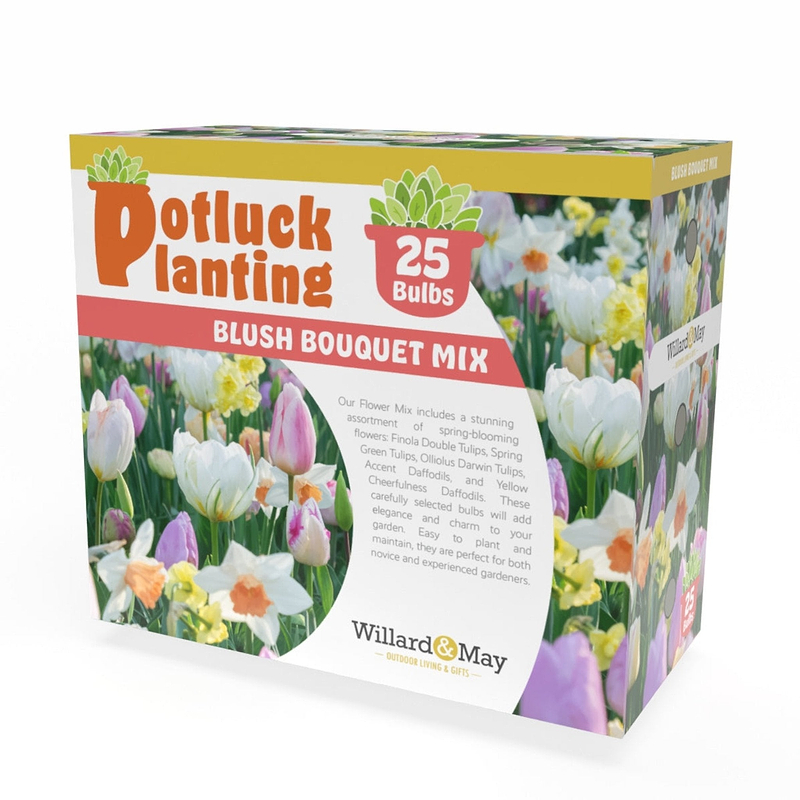 Potluck Planting Blush Bouquet Mix