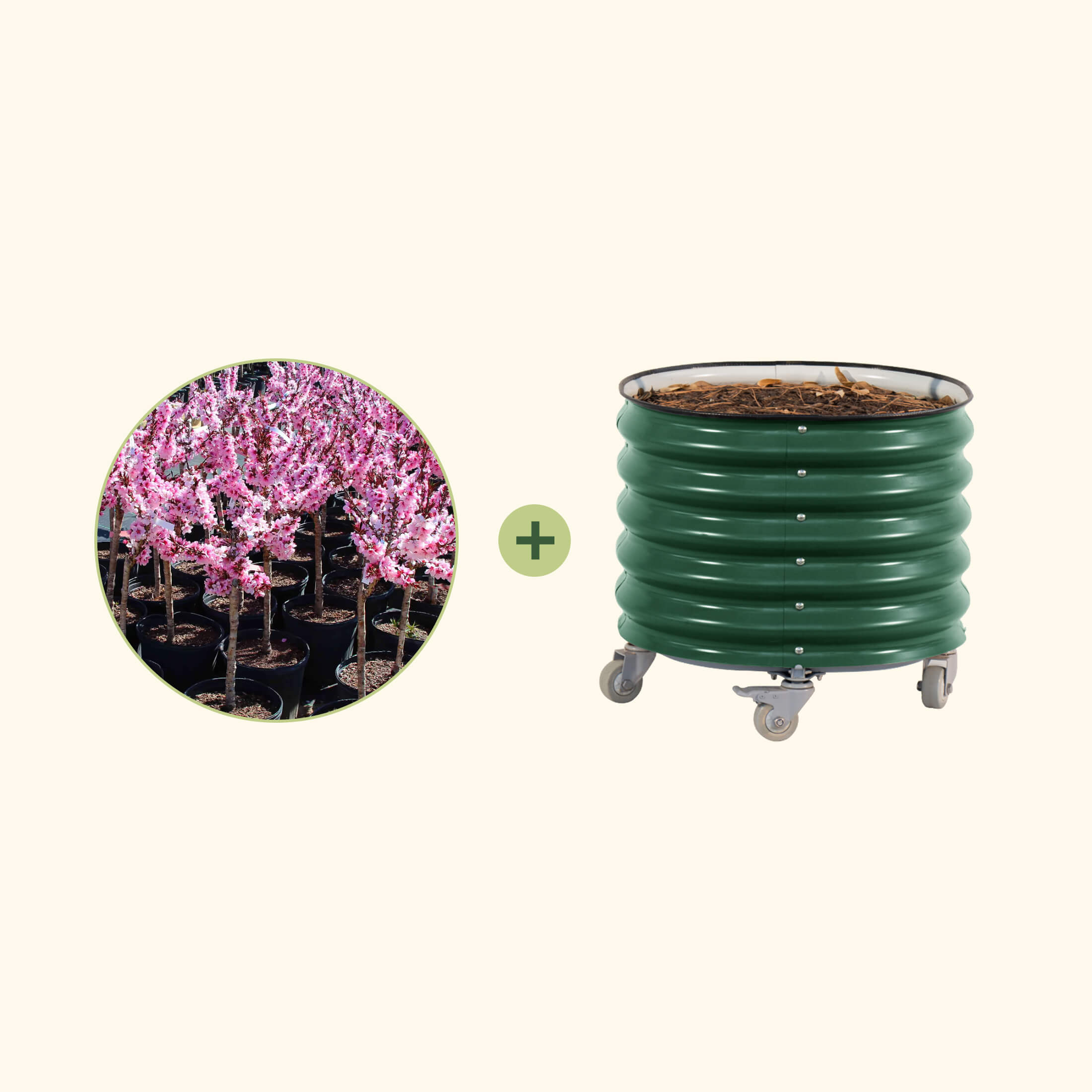 Bonfire Patio Peach with Rolling Planter | Vego Garden
