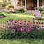 Border Edging - 3 Pack