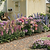 Border Plant Support Curved - 6 Pack