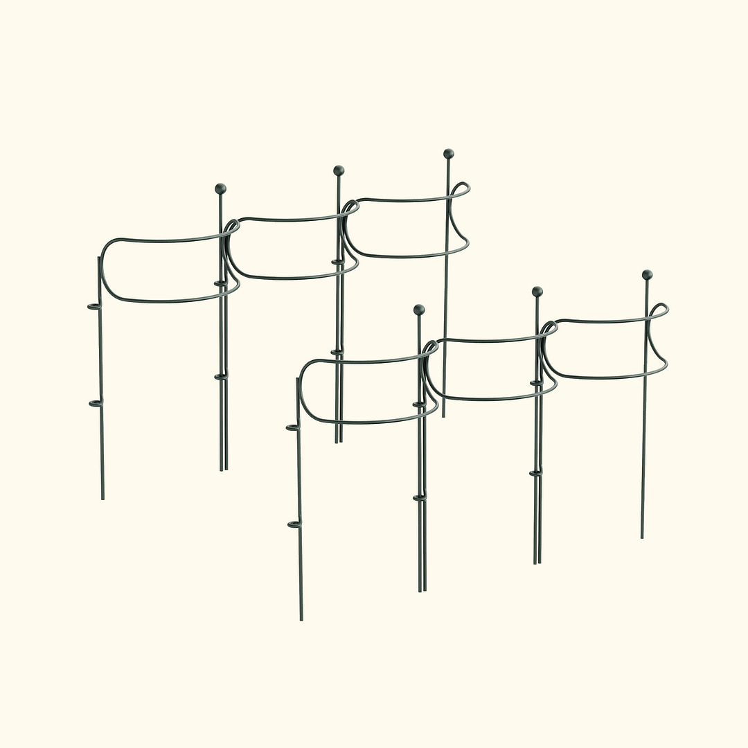Curved Border Plant Support (6 Pack) | Vego Garden Bed Add-On