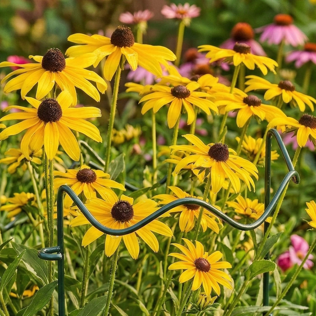 Wavy Border Plant Support (6 Pack) | Decorative Garden Edging