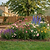Border Plant Support Wavy - 6 Pack