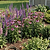 Border Plant Support Wavy - 6 Pack