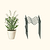 Border Plant Support Wavy - 6 Pack