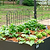 Border Edging - 3 Pack
