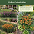 Vego Garden Plant Supports