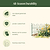 Vego Garden Plant Supports