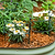 Vego Garden Plant Supports
